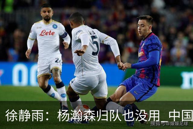 徐静雨：杨瀚森归队也没用 中国男篮跟日本已完全不是一个等级