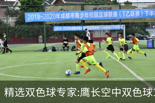 精选双色球专家:鹰长空中双色球146万累擒1788万!